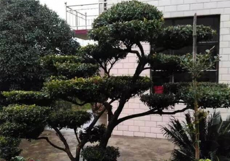 公司簡(jiǎn)介