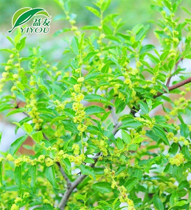 方孔沖孔網(wǎng)